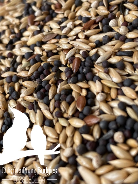 2kg hạt mix Deli Nature cho Yến Hót - xuất xứ: Bỉ 🇧🇪🇧🇪🇧🇪