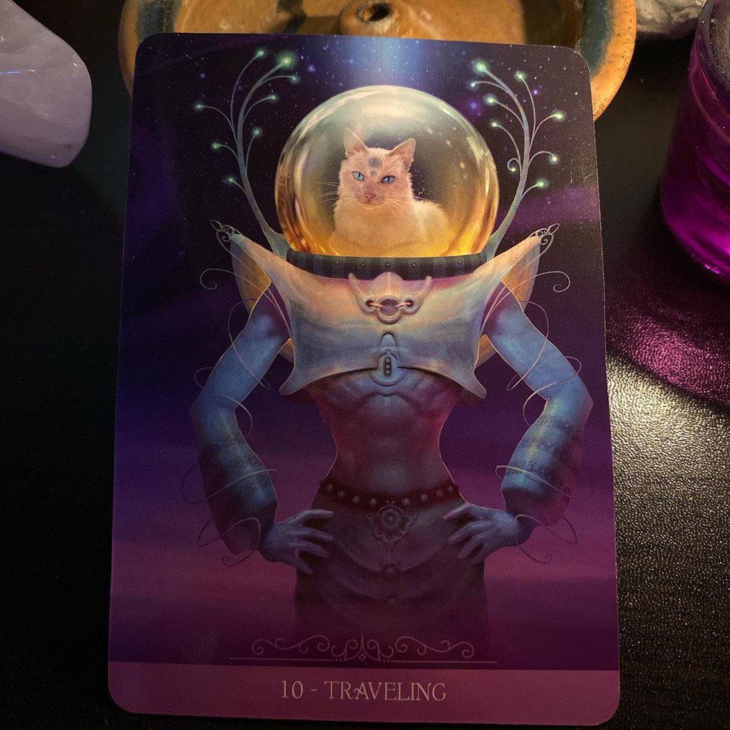 Bộ Bài Barbieri Fantasy Cats Oracle (Mystic House Tarot Shop) - Bài Gốc Authentic Chính Hãng 100%