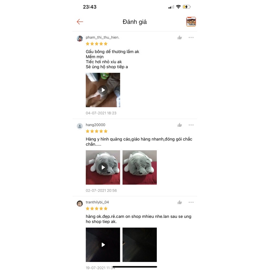 Gấu Bông Chó Nhăn Mặt Xệ Size 35Cm Nhiều Màu Sắc Chất Liệu Cao Cấp Nhồi Bông Gòn Trắng Tinh Khiết