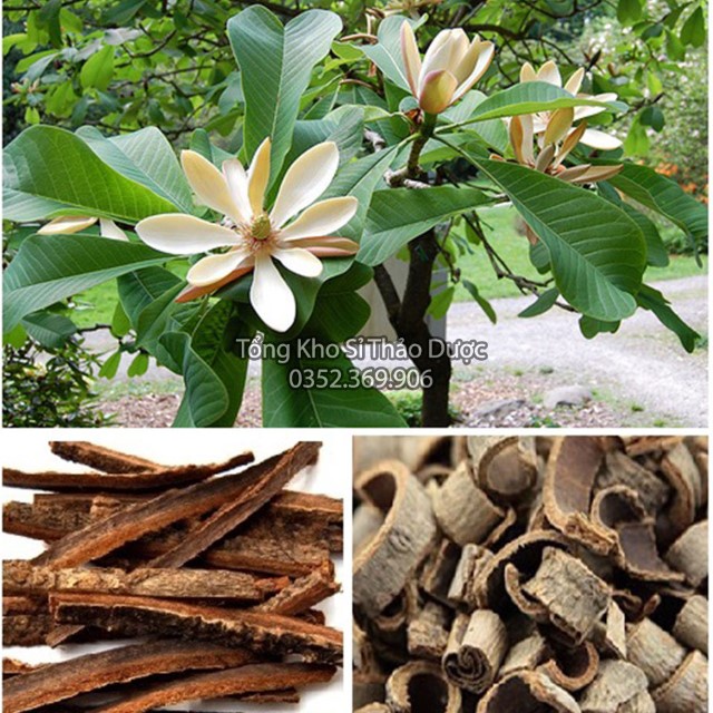 Hậu Phác 300g