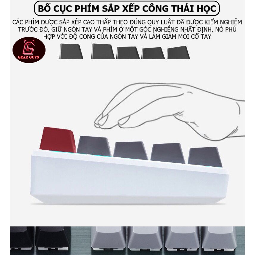 Bàn phím Cơ Bluetooth Không Dây XINMENG K950  Có Pin Sạc, LED Đẹp, Bàn phím Máy Tính PC Laptop, Máy Tính Bảng