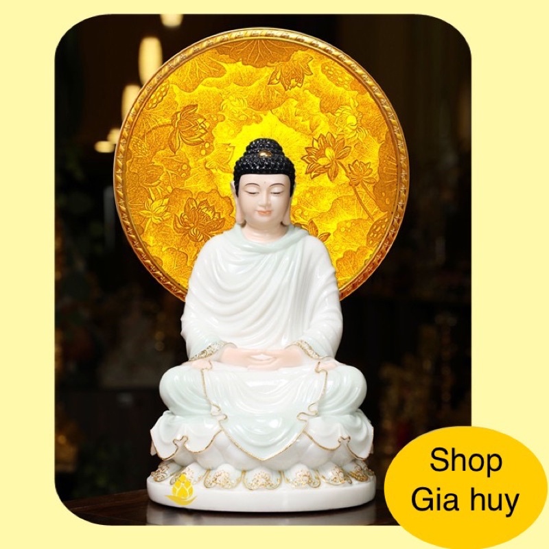 Hào Quang Trúc Chi