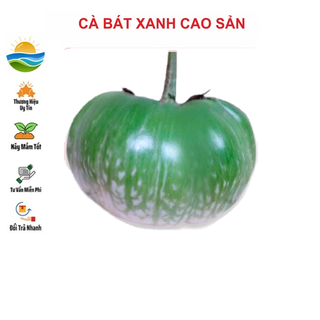 Hạt giống Cà Bát Xanh 1gram