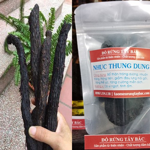 Nhục thung dung (100g->300g)