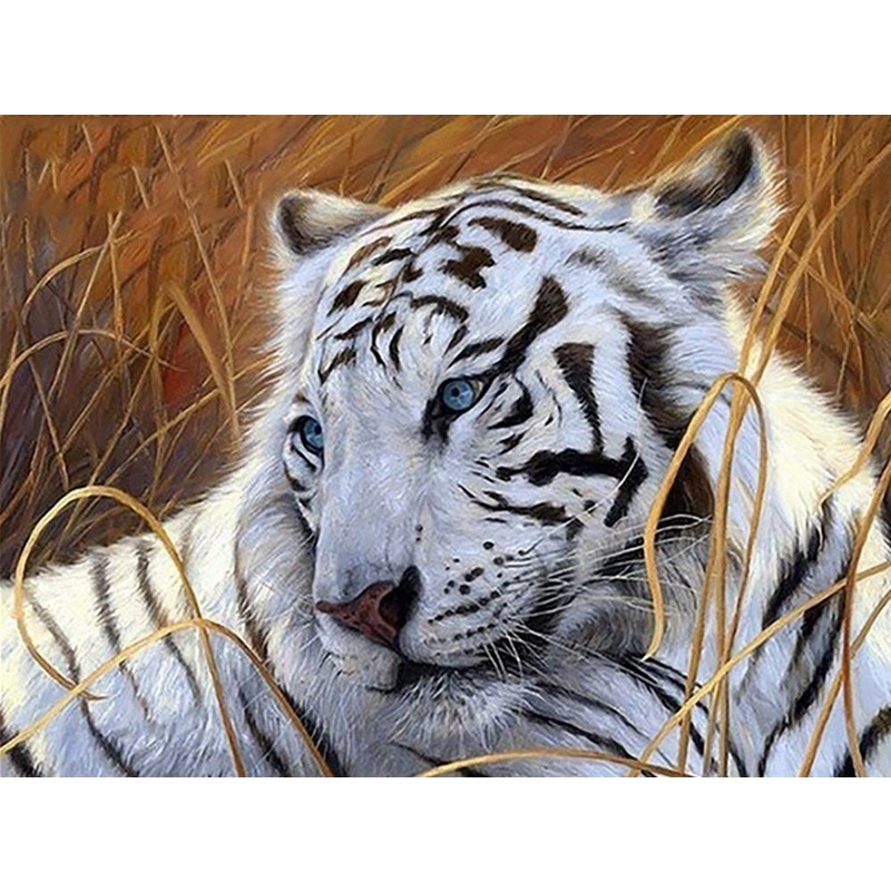 Bộ Tranh Đính Đá 5d Tự Làm Hình Hổ Trắng Trang Trí Nhà Cửa
