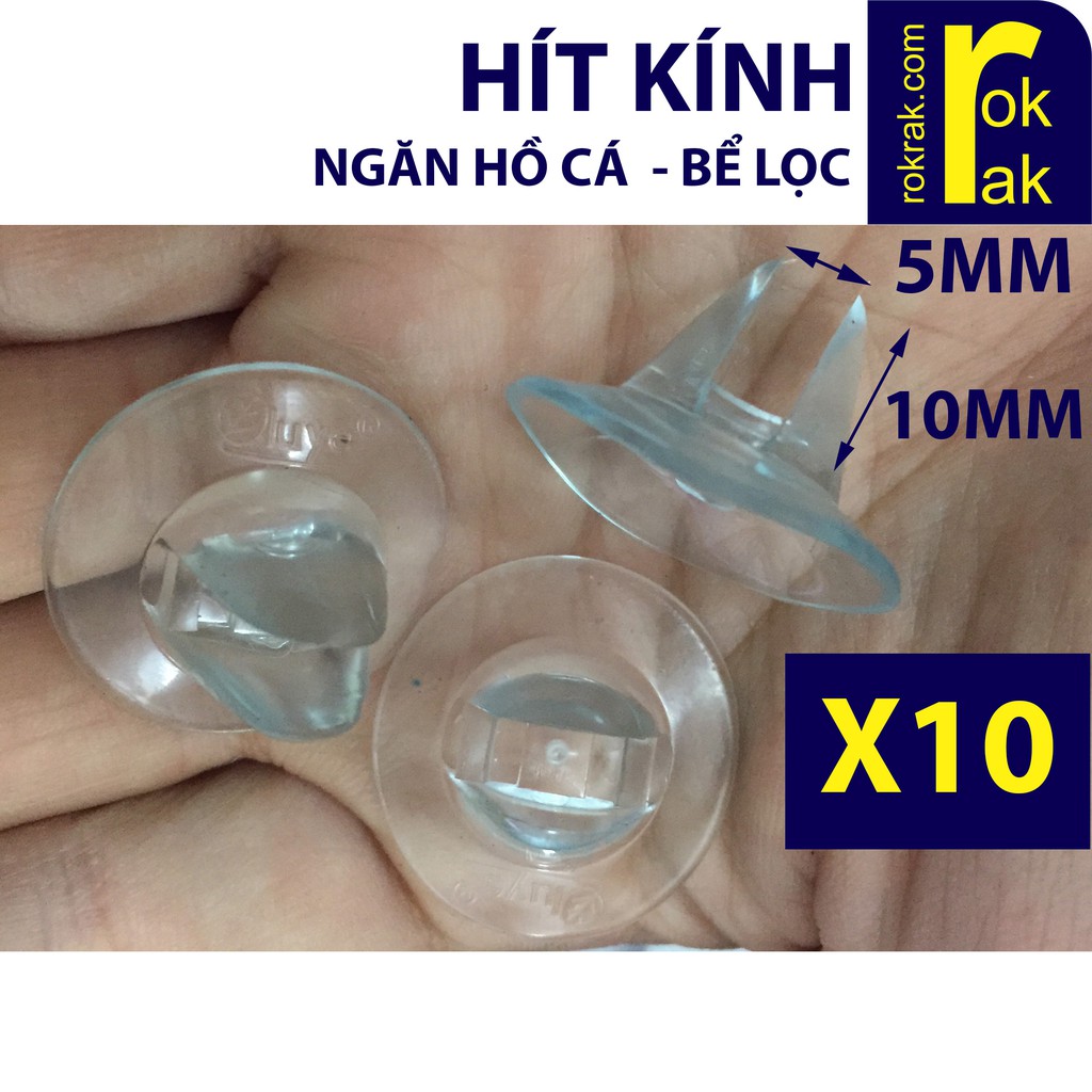 Combo 10 Hít kính giữ vách Ngăn Hồ cá bể lọc chắc chắn