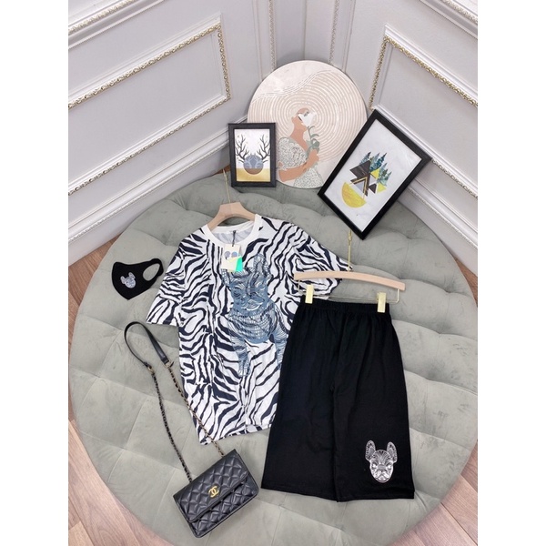 SET NGỐ VẰN HÌNH CHÓ PUG