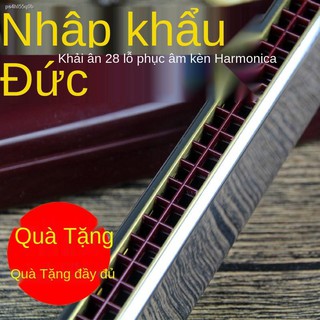 Shanghai Dunhuang Kane 28 lỗ kèn harmonica đa âm có trọng dành cho người lớn mới bắt đầu chơi cấp độ biểu diễn nâng cao