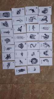 Thẻ Animal 4D