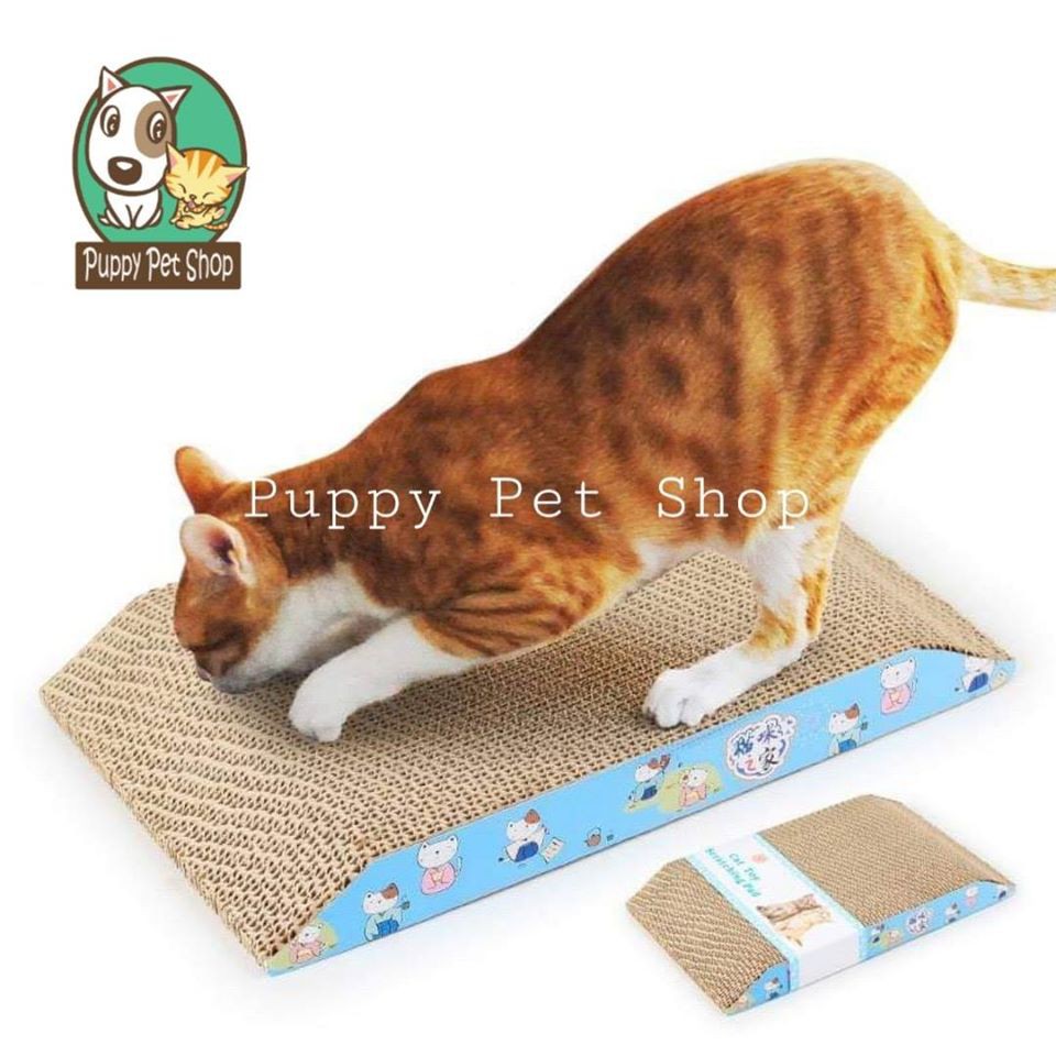 Đồ Chơi Bàn Cào Móng Giấy Cho Mèo 43cm