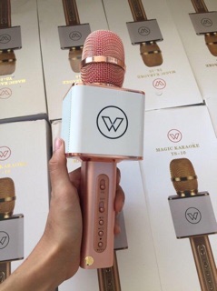 [SALE 20%] Mic kèm loa Karaoke Bluetooth YS 10 