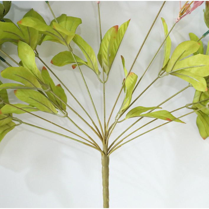 1 chùm hoa mẫu đơn bông lớn