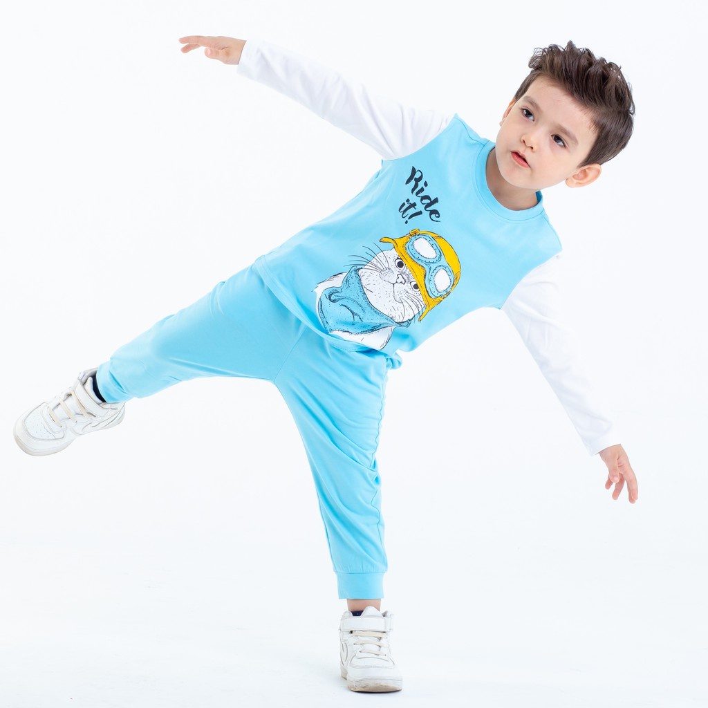 Đồ Bộ Bé Trai Từ 1 Đến 8 Tuổi Dài Tay Chất Thun Cotton In Hình Mèo Thời Trang Thu Đông Cao Cấp  BB19
