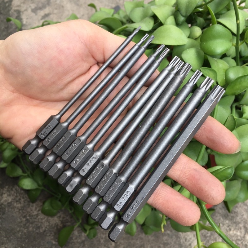 Hoa Thị nhật bãi