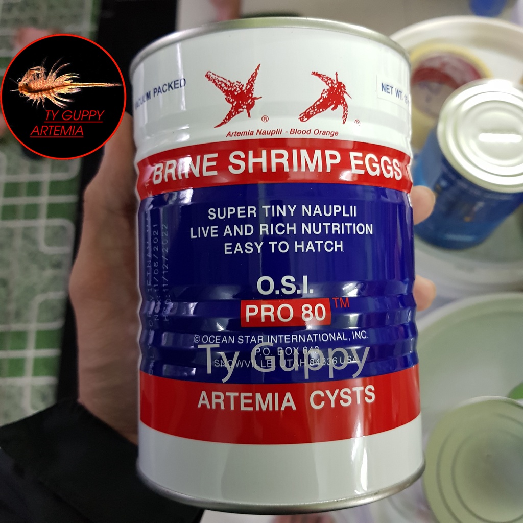 Trứng Artemia Mỹ OSI tỉ lệ nở 90-95%,nuôi sinh khối và cho betta bột,cá 7 màu...