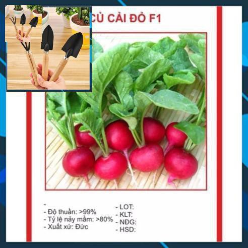 Hạt Giống Củ Cải Đỏ 5gram TẶNG BỘ LÀM VƯƠN MINI