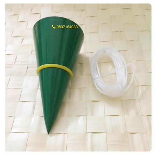 Quả dọi Berrylion 300g, 400g, 500g