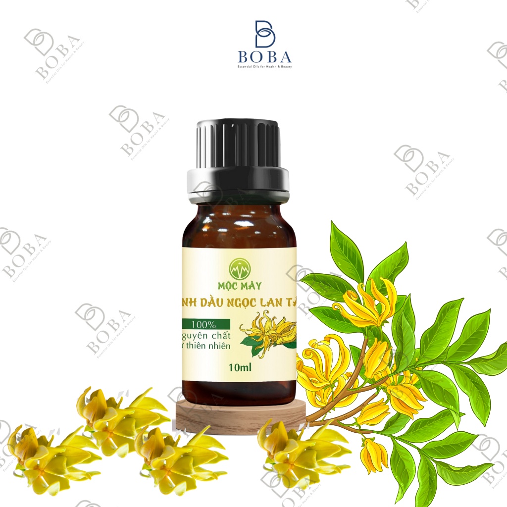 Tinh dầu của các loài hoa thư giãn, khử mùi, làm thơm phòng Mộc Mây, Dung Tích 10ml - bobashop.vn