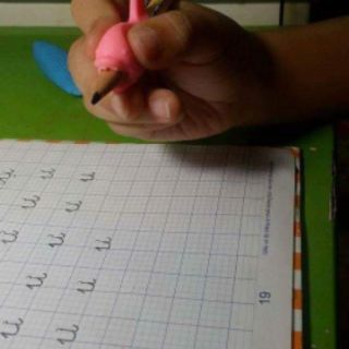 Đệm cầm bút cá heo