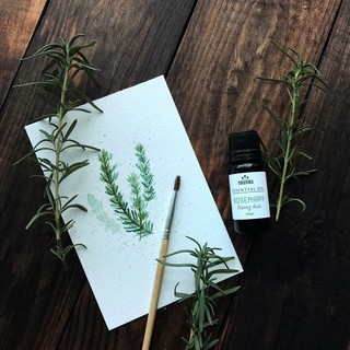 Tinh Dầu Rosemary NauNau Chính Hãng Hương Thảo Dịu Nhẹ Hợp Dùng Xông Phòng Thư Giãn 10ml
