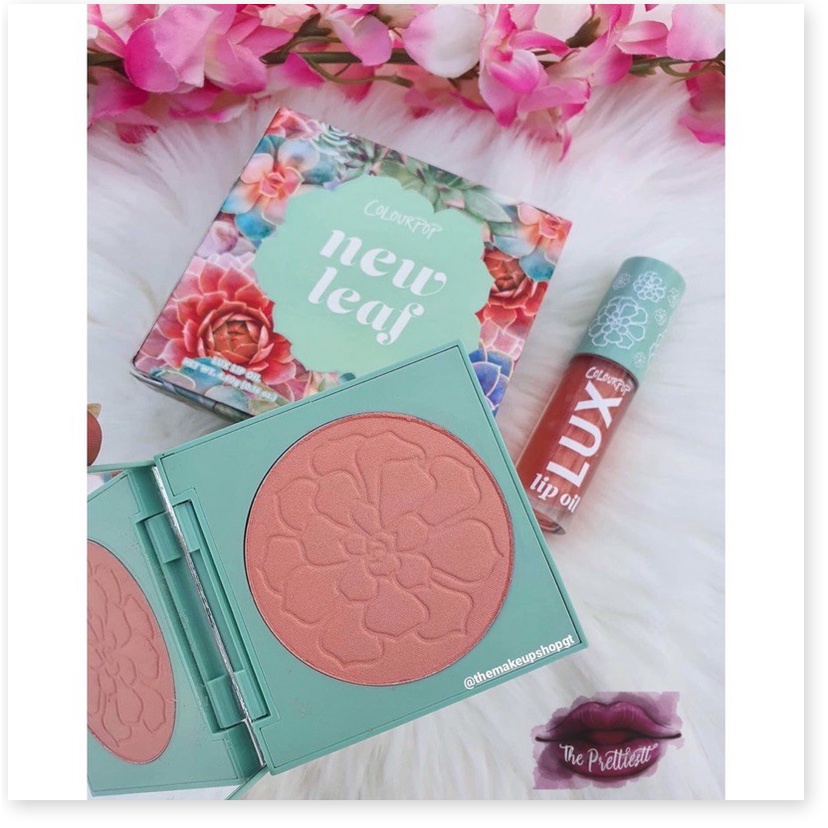 Set phấn má + son bóng Colourpop New Leaf Lip & Cheek Palette +2% phí bán hàng