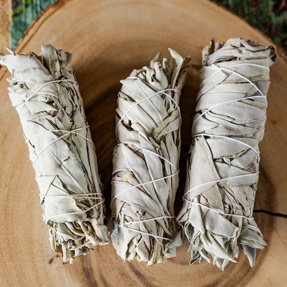 Xô Thơm Trắng (White Sage) l XÔ THƠM THANH TẨY