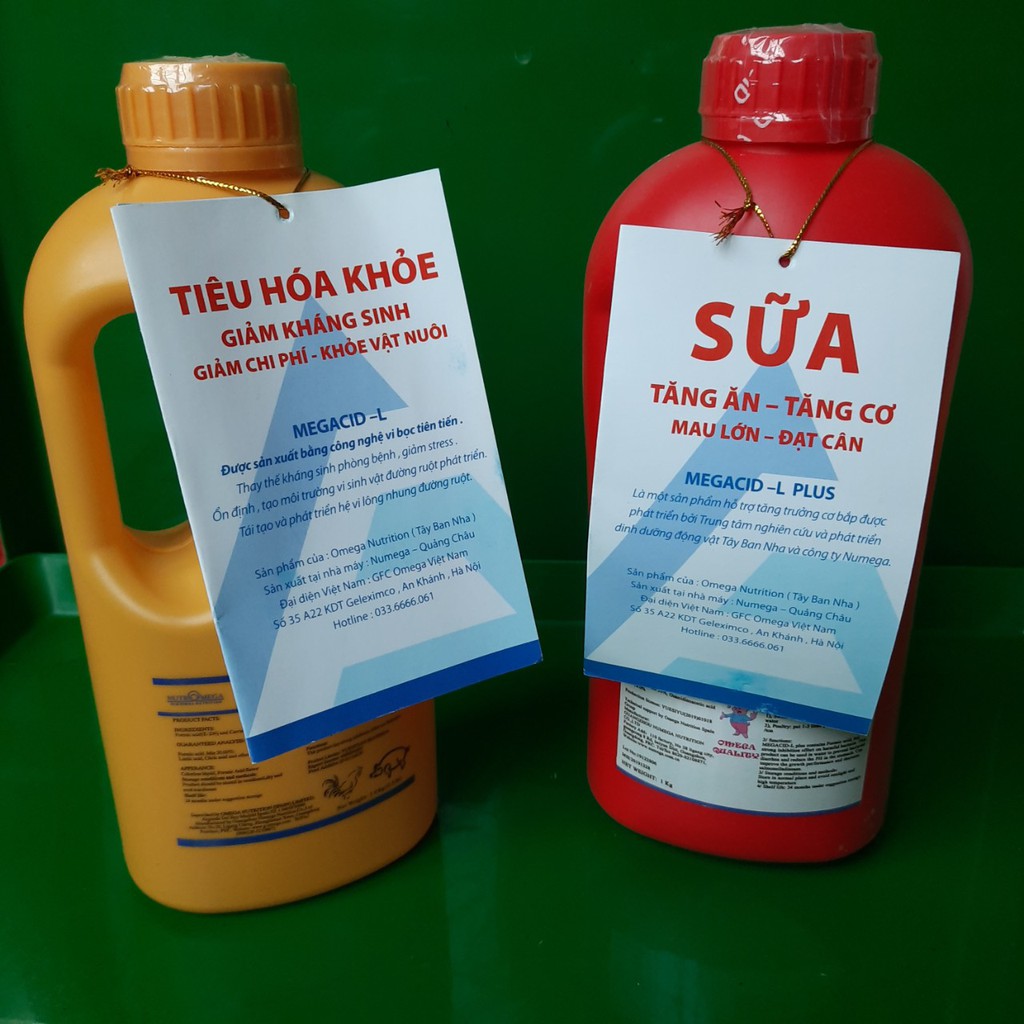 Men tiêu hóa,  hỗ trợ tiêu hóa Acid HỮU CƠ MEGACID L , thúc đẩy ăn tốt dùng trong chăn nuôi,