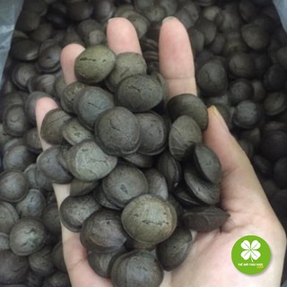 500g hạt sachi đak lak rang sẵn chỉ việc ăn - td247