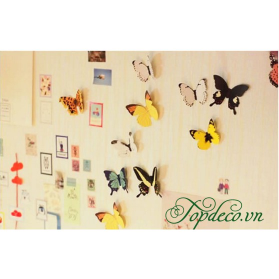 [FREE SHIP] Set bướm 3D 19 con có xốp dán 2 mặt siêu đáng yêu