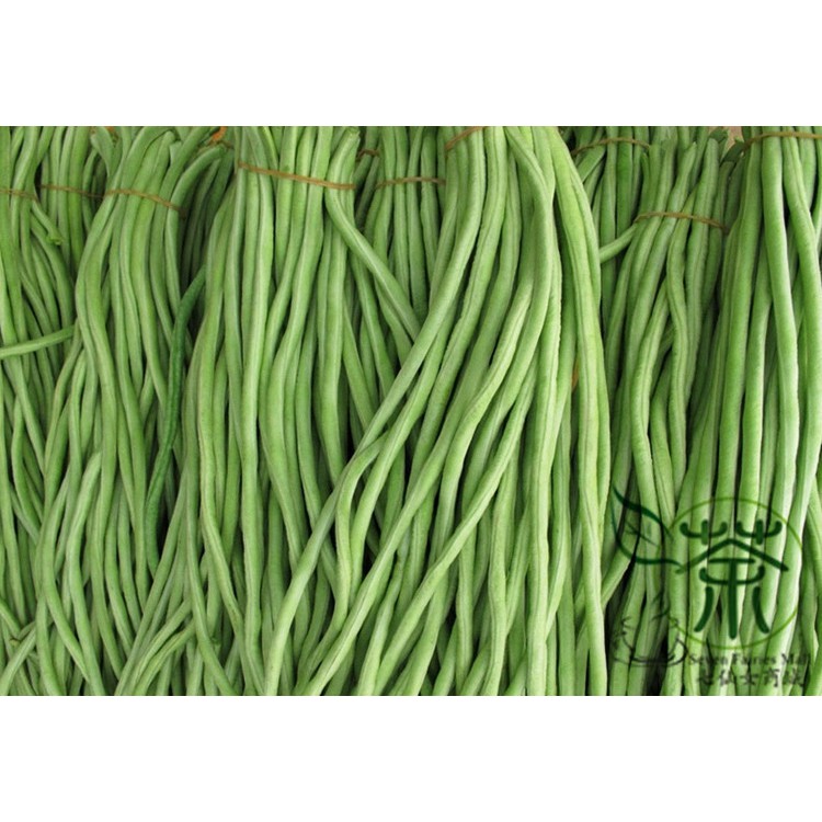 Freeship 99k TQ_hạt giống đậu đũa