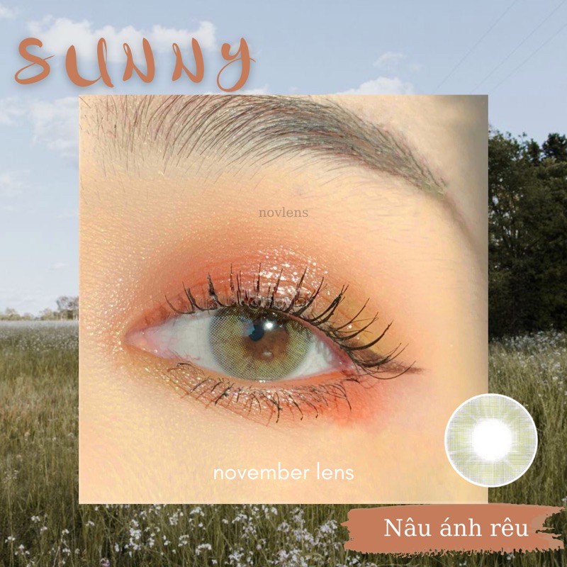 KÍNH ÁP TRÒNG SUNNY BROWN | Nâu tây ánh xanh lá mạ