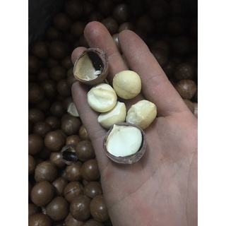 Quả Macca Úc 500g loại 1