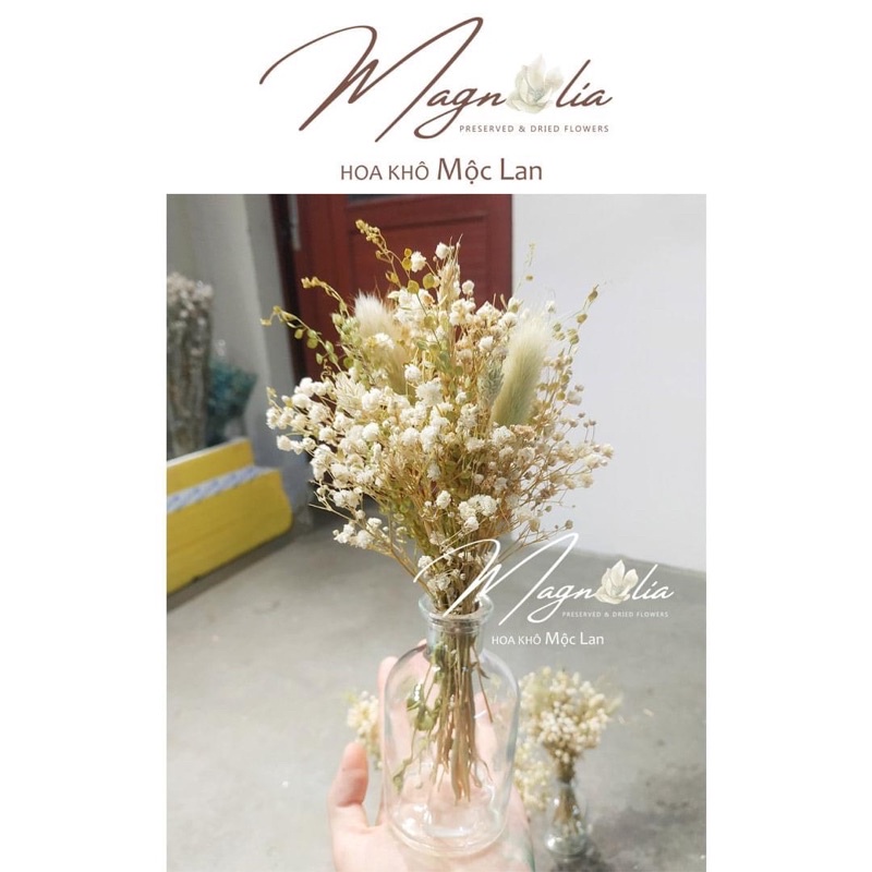 Set hoa khô kèm lọ baby trắng phối Lepidium Grass và đuôi thỏ MỘC LAN đồ decor trang trí