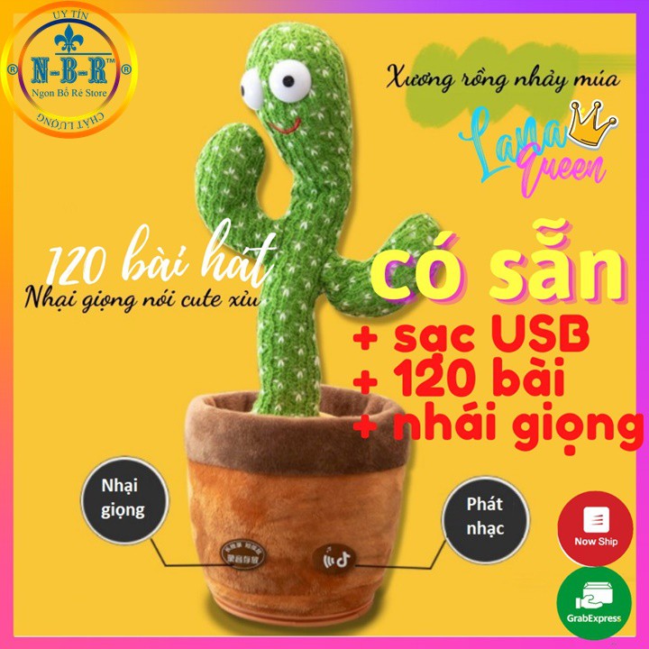 Cây Xương Rồng Nhảy Múa,Cây Xương Rồng Nhại Tiếng ,Làm Quà Tặng Sinh Nhật Cực Đáng Yêu