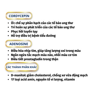 10 hộp Đông trùng hạ thảo C3