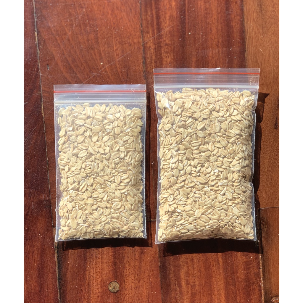 Yến mạch vỗ béo cho Hamster