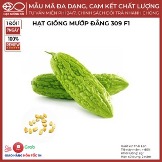 Hạt Giống Mướp Đắng 309 F1 - Giống kháng bệnh virus, trái màu xanh Bóng, cơm dày