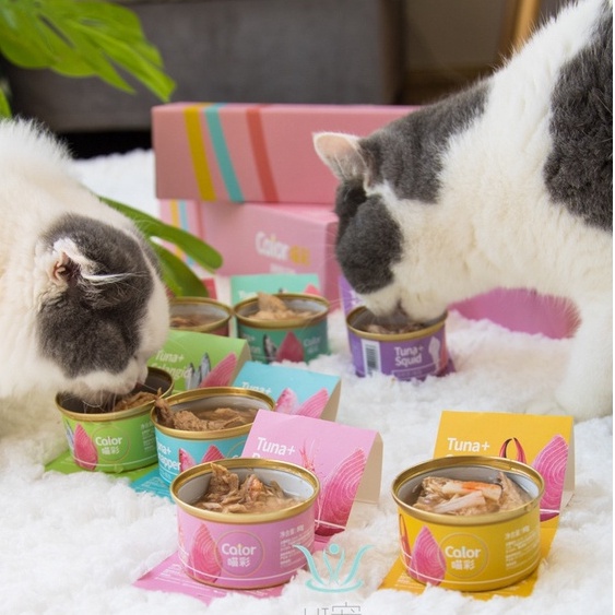 Bộ Pate cho mèo Cator thức ăn cho mèo con tăng cân cho mèo hỗ trợ tiêu hoá Surica