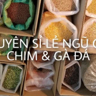 Lúa tiêu ruột đỏ - 1 ký- Ngũ cốc Đặng Nam