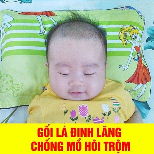Gối lá đinh lăng cho bé chống mồ hôi trộm, ngăn giật mình