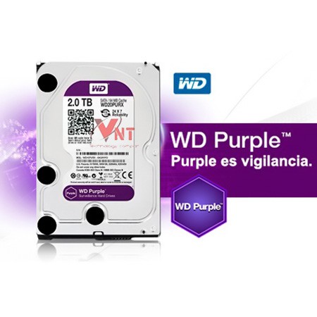 Ổ cứng HDD 2TB ( 2000G ) Western Purple ( Tím ) - Bảo hành 12 tháng