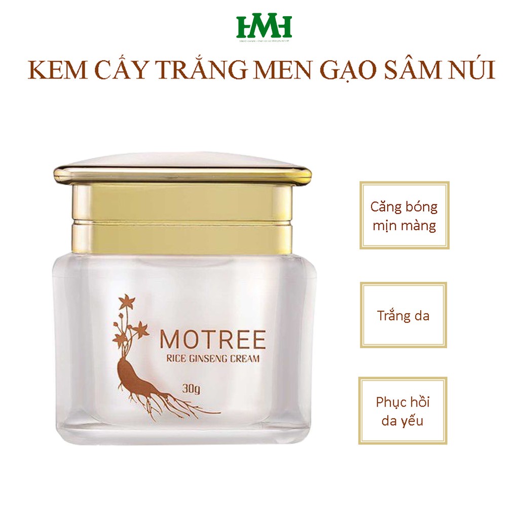 [Chính hãng Motree] Kem dưỡng da ban đêm - Cấy trắng Men Gaọ + Sâm Núi | BigBuy360 - bigbuy360.vn