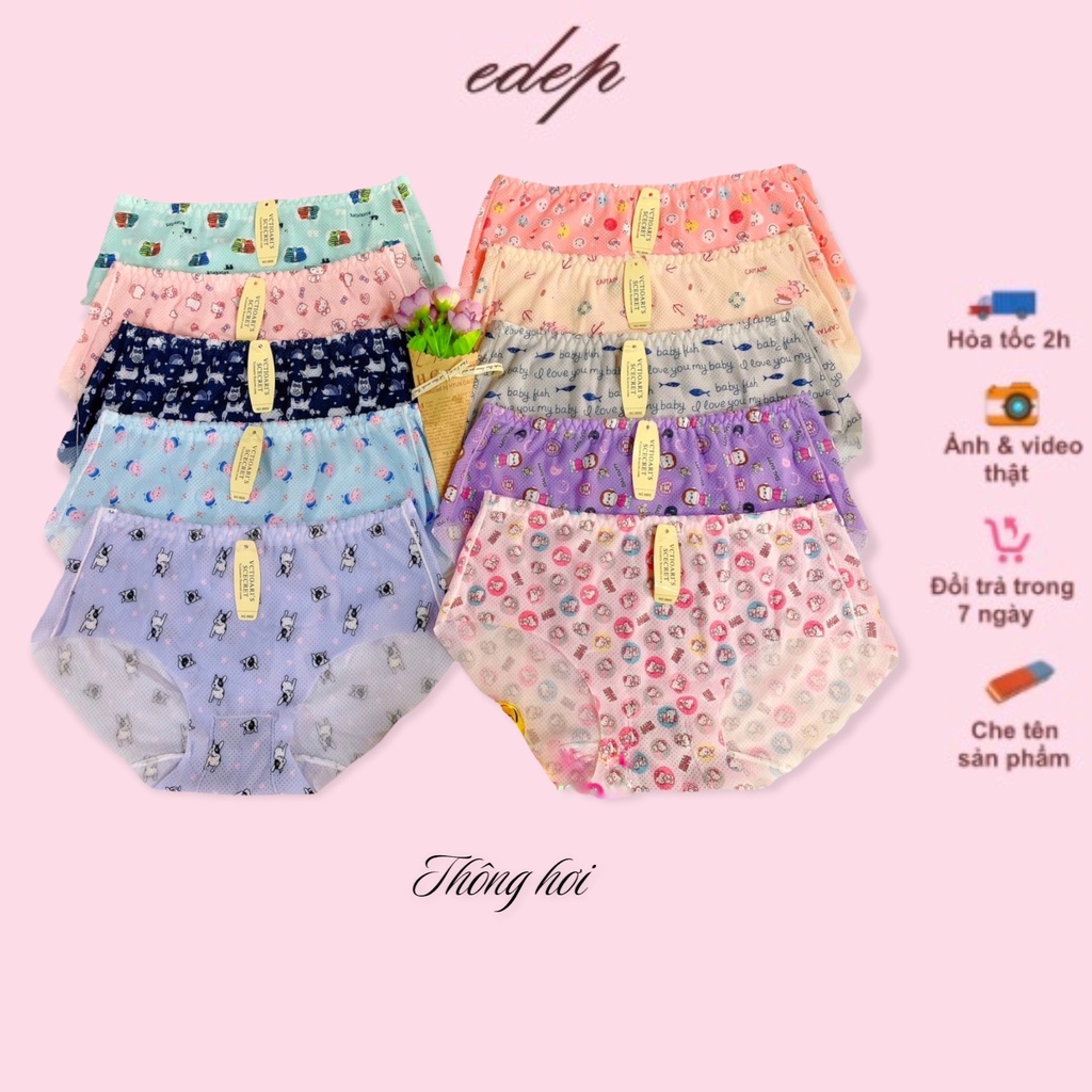 combo 5 QUẦN SU BÔNG THÔNG HƠI