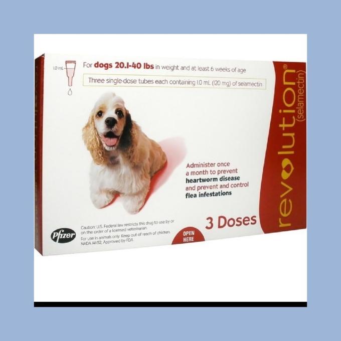 Ống Đựng Thuốc Cho Thú Cưng Dung Tích 10.1kg - 20kg