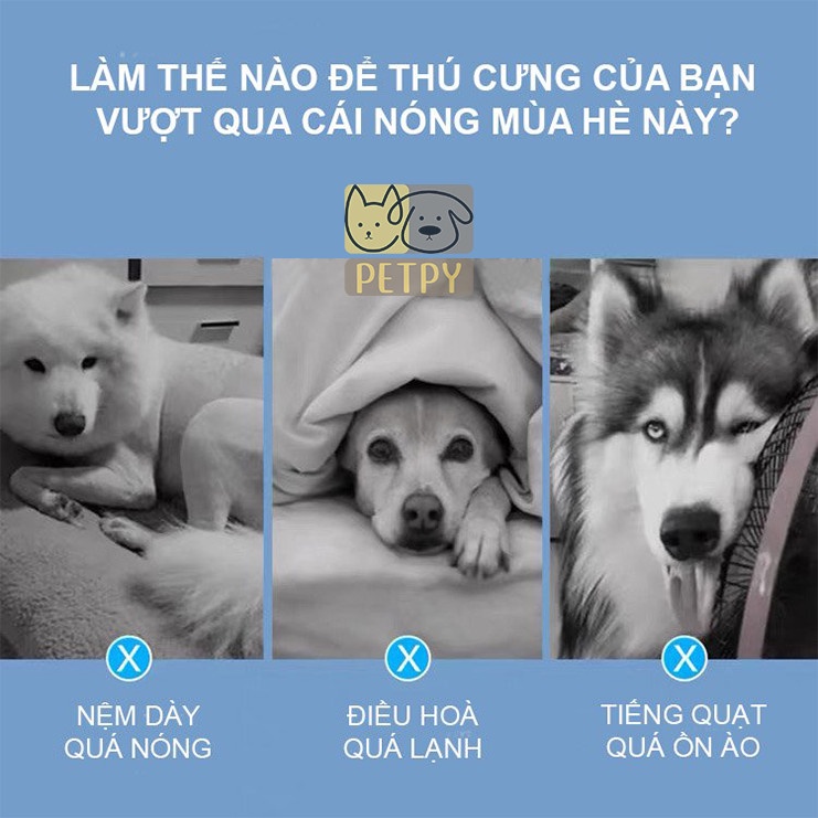 Thảm mát mùa hè cho thú cưng, đệm gel lạnh giúp chó mèo không bị sock nhiệt