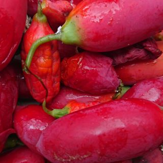 Trái bình bát dây tươi (700gr)