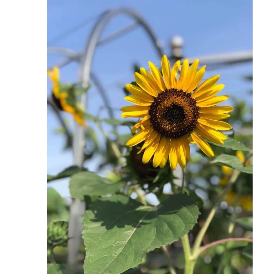 GIA DỤNG STORE 88, Cửa hàng trực tuyến | BigBuy360 - bigbuy360.vn