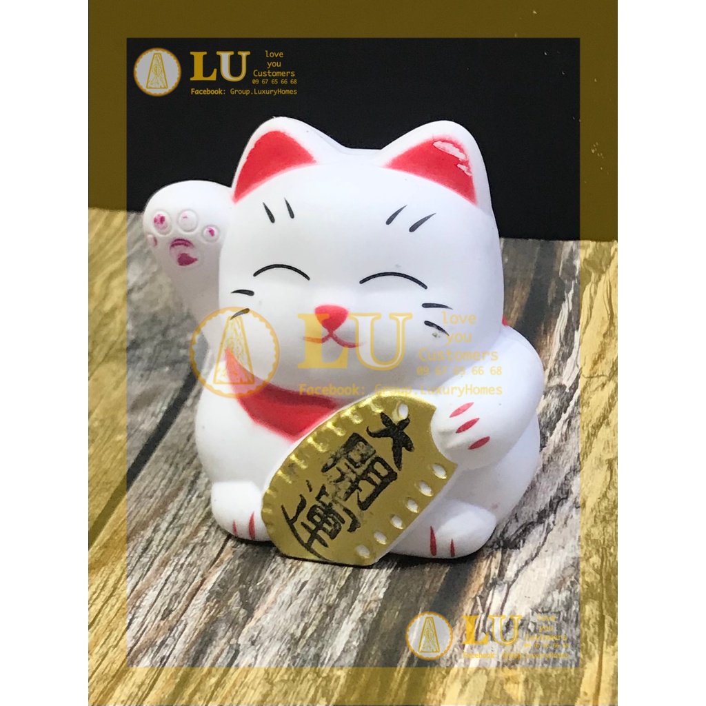 Mèo thần tài | LU