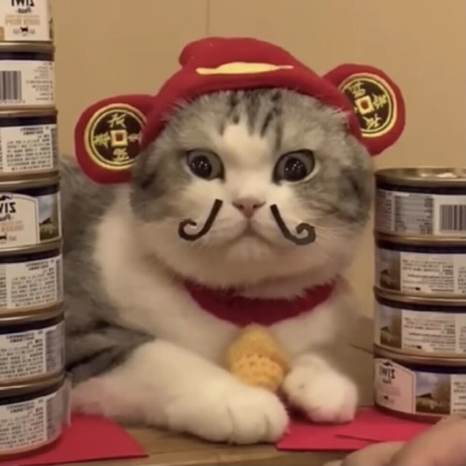 Mũ nón Tết Thần tài may mắn tài lộc cho chó mèo