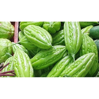 Khổ qua tươi, ngon- ship hỏa tốc